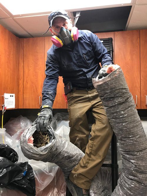 Image of man holding duct that needed bird removal. | Wingman Pest Control