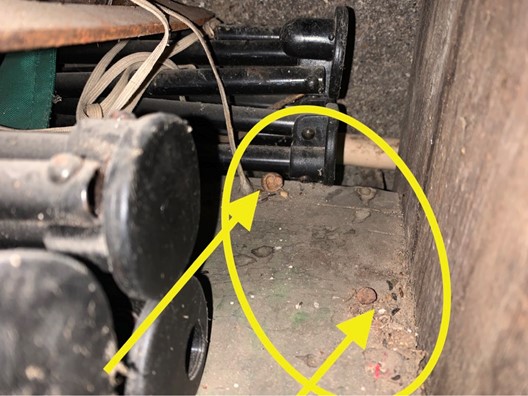 Mouse and squirrel activity in basement. Shells of nuts were found in the basement.